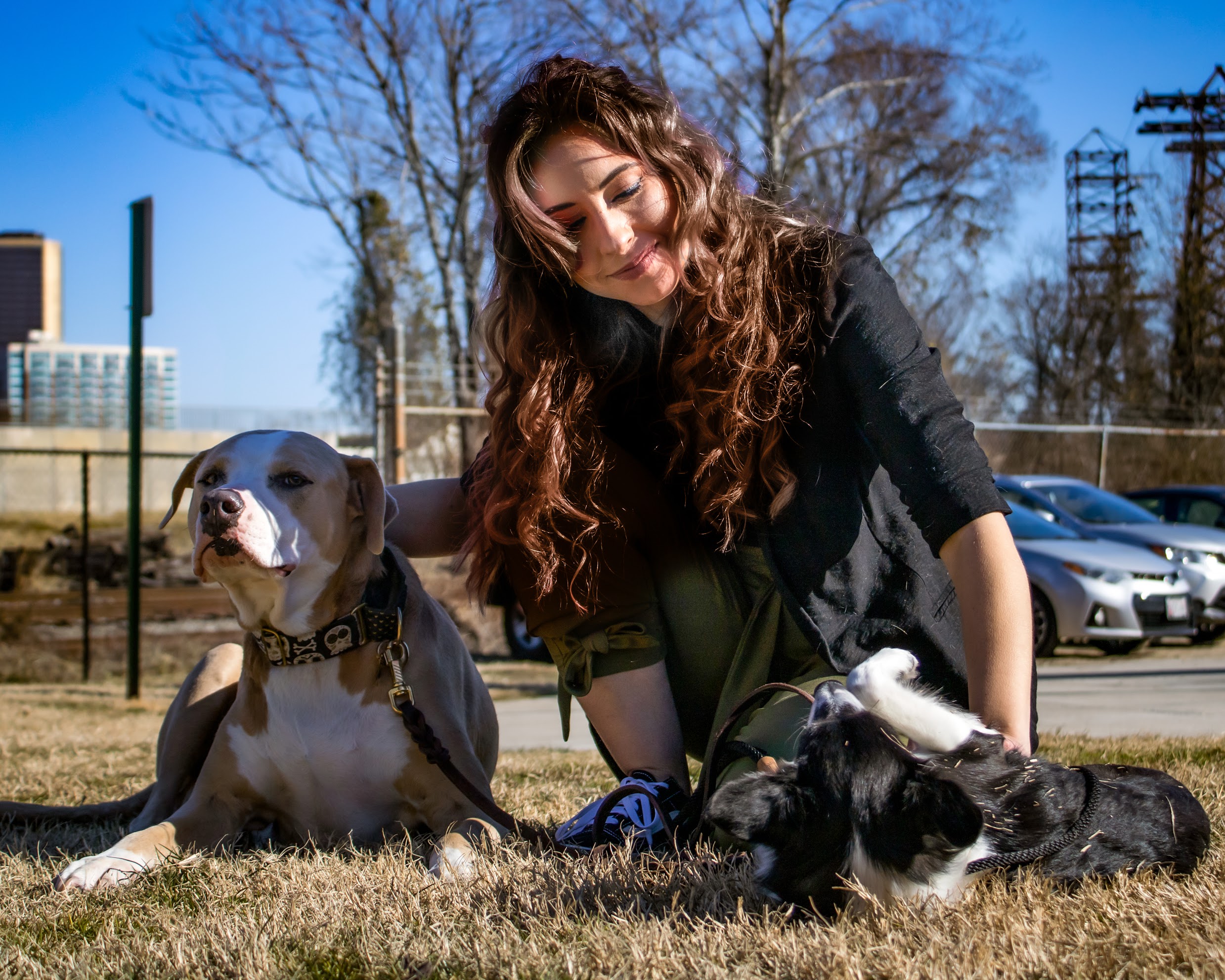 reward based training reward based training