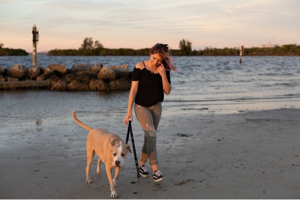 tampa dog trainer